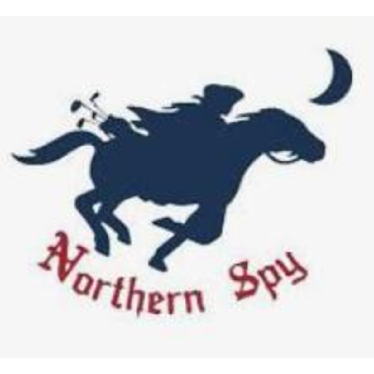 Northern Spy logo